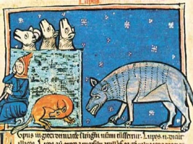 «Lo sguardo animale: L&#039;immagine del Lupo nel Medioevo»